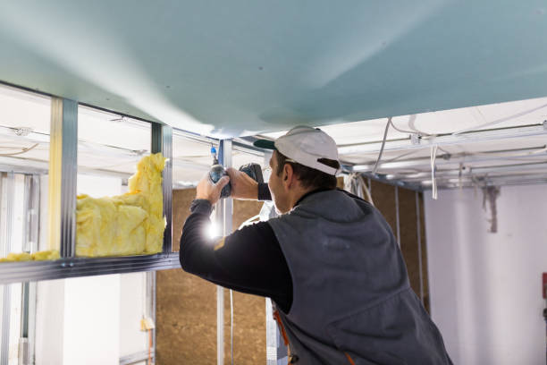 Best Spray Foam Insulation in Belhaven, NC